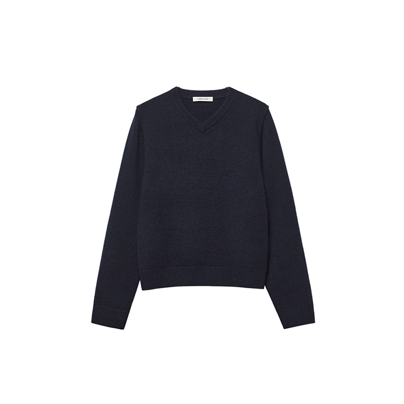 V-Neck Pullover Knit Sweater