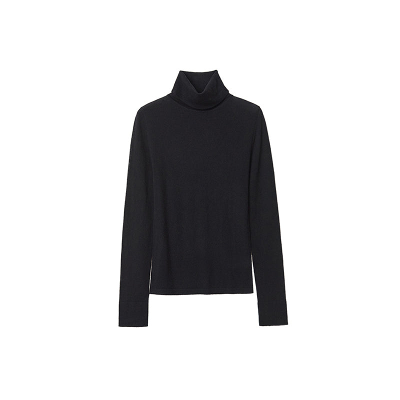 Turtleneck Fitted  Knit Top