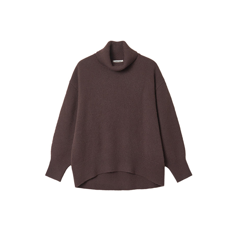 Turtleneck Solid Knit Sweater